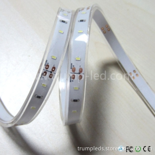 SMD 3014 White IP68 Waterproof LED Strip Soft Light